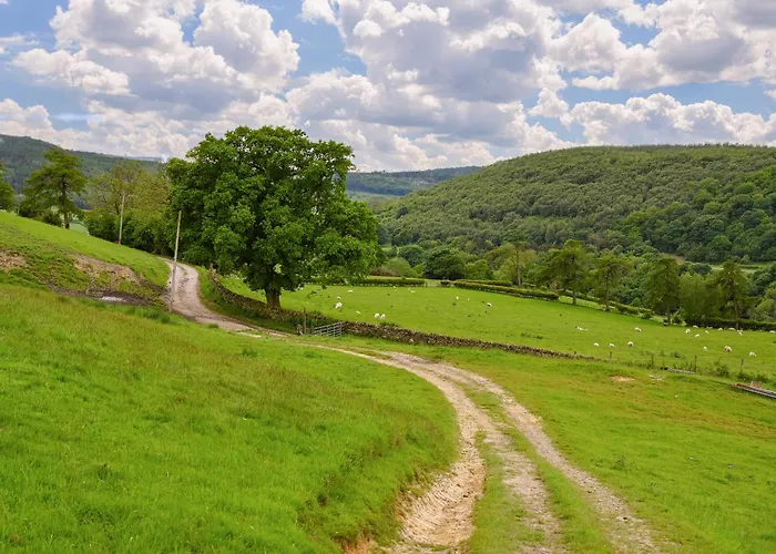 בית נופש The Dreamer's Hut