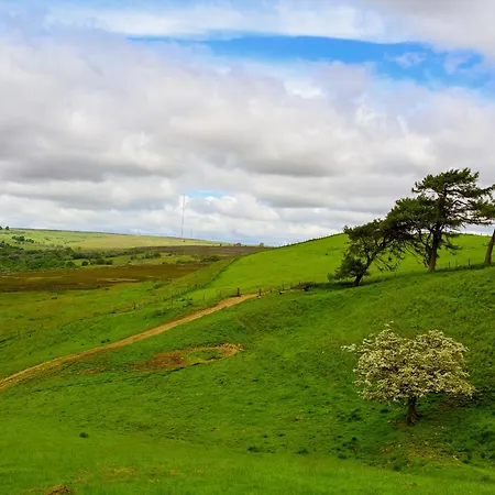 Hébergement de vacances The Dreamer's Hut *