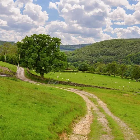 Hébergement de vacances The Dreamer's Hut