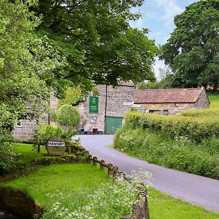 Hébergement de vacances The Dreamer's Hut