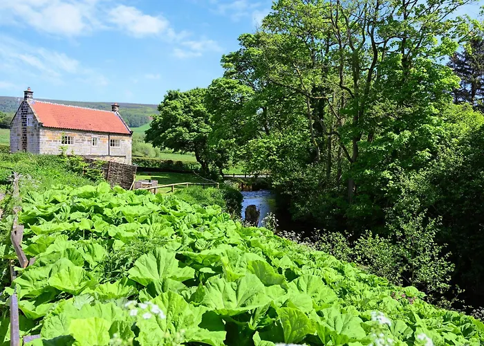 The Dreamer's Hut Vakantiehuis Hawnby