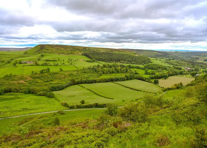 The Dreamer's Hut Vakantiehuis *